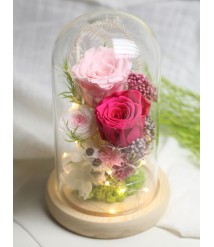 PRESERVED RED ROSE WITH LED GLASS DOME 02
