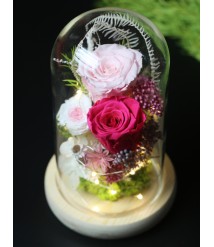 PRESERVED RED ROSE WITH LED GLASS DOME 02