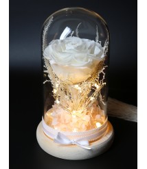 PRESERVED FLOWER GLASS DOME WITH LED WEDDING 001